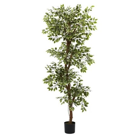 NEARLY NATURAL 6 and rsquo; Variegated Ficus Tree 5345